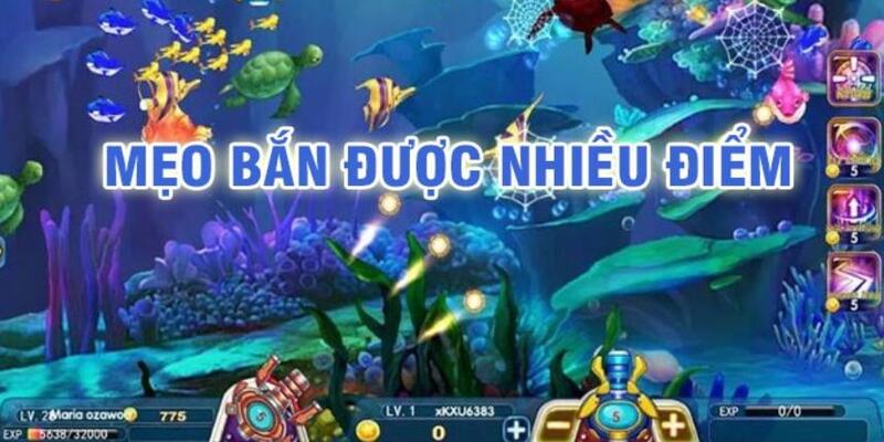 vaobong88 đá gà