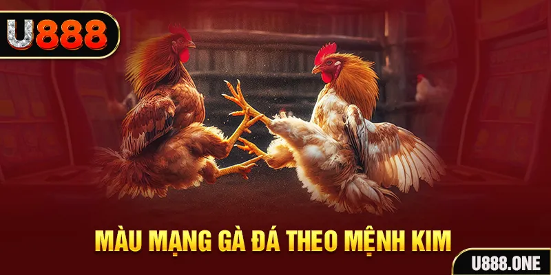 vaobong88 gà chọi tiêu phong