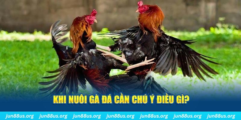 vaobong88 ban ca vip online