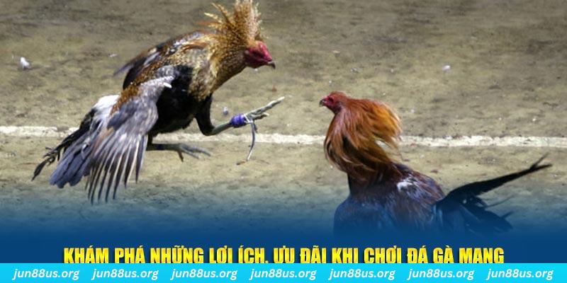 vaobong88 Tài Xỉu 2