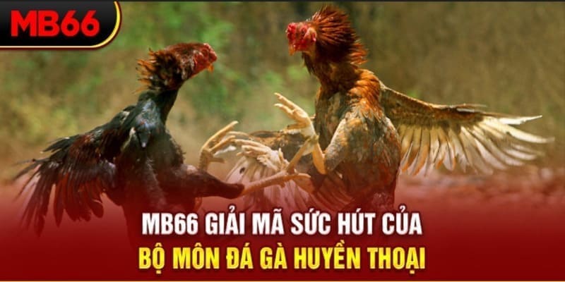 vaobong88 long bảo trong baccarat là gì