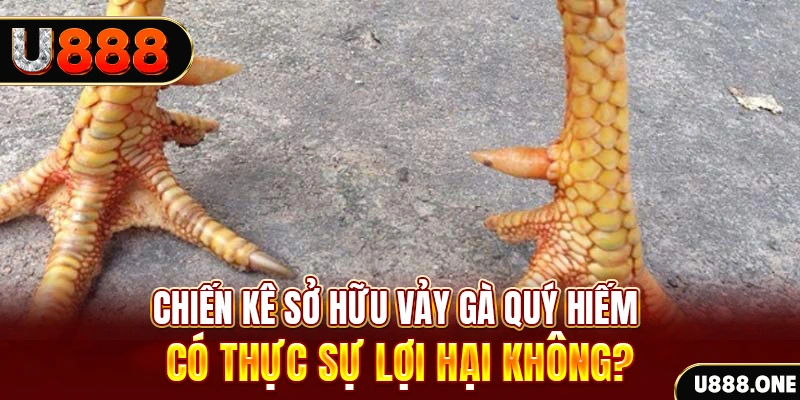 vaobong88 game cá cược máy bay