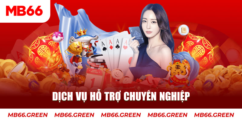 vaobong88 gà chọi cậu thanh
