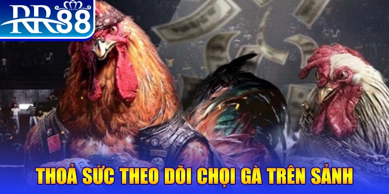 vaobong88 NE Điện Tử